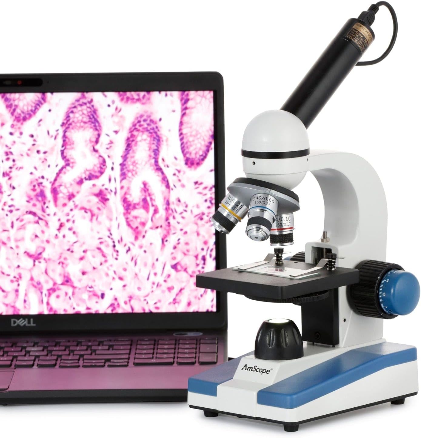 AmScope M150 Series Portable LED Monocular Student Compound Microscope - 40X-1000X Magnification - Microscope Kit Includes Dust Cover, 2 Clips & 2 Eyepieces