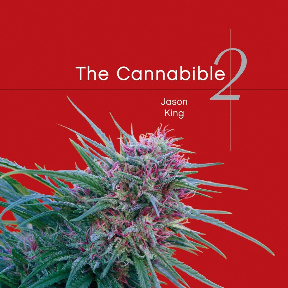 The Cannabible 2 — book cover
