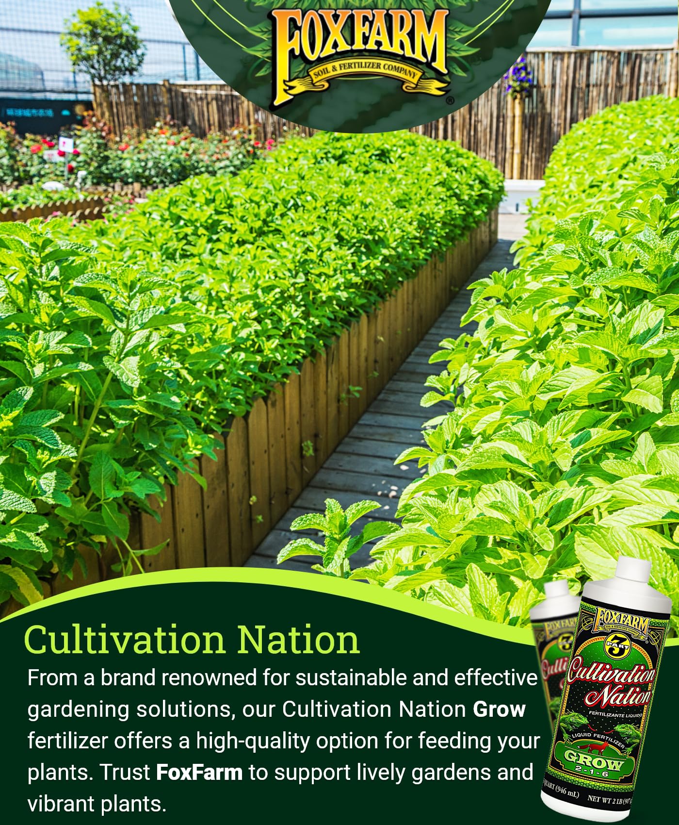 FoxFarm Cultivation Nation Grow Fertilizer - Formula for Optimal Vegetative Growth, Perfect for Soil, Soilless Media, Hydroponics & Aeroponics - Part 1 of 3-Part Feeding Program- NPK 2-1-6 (Quart)