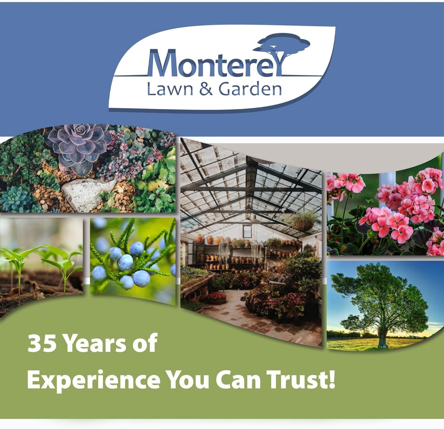 Monterey - Complete Disease Control - Fungicide & Bactericide for Control of Garden & Lawn Diseases, OMRI Listed for Organic Gardening - 1 Pint