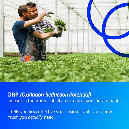 Bluelab ORP Probe – Durable, Platinum Probe with Ceramic Diaphragm & 2m Cable for Chlorine-Based Sanitiser Monitoring