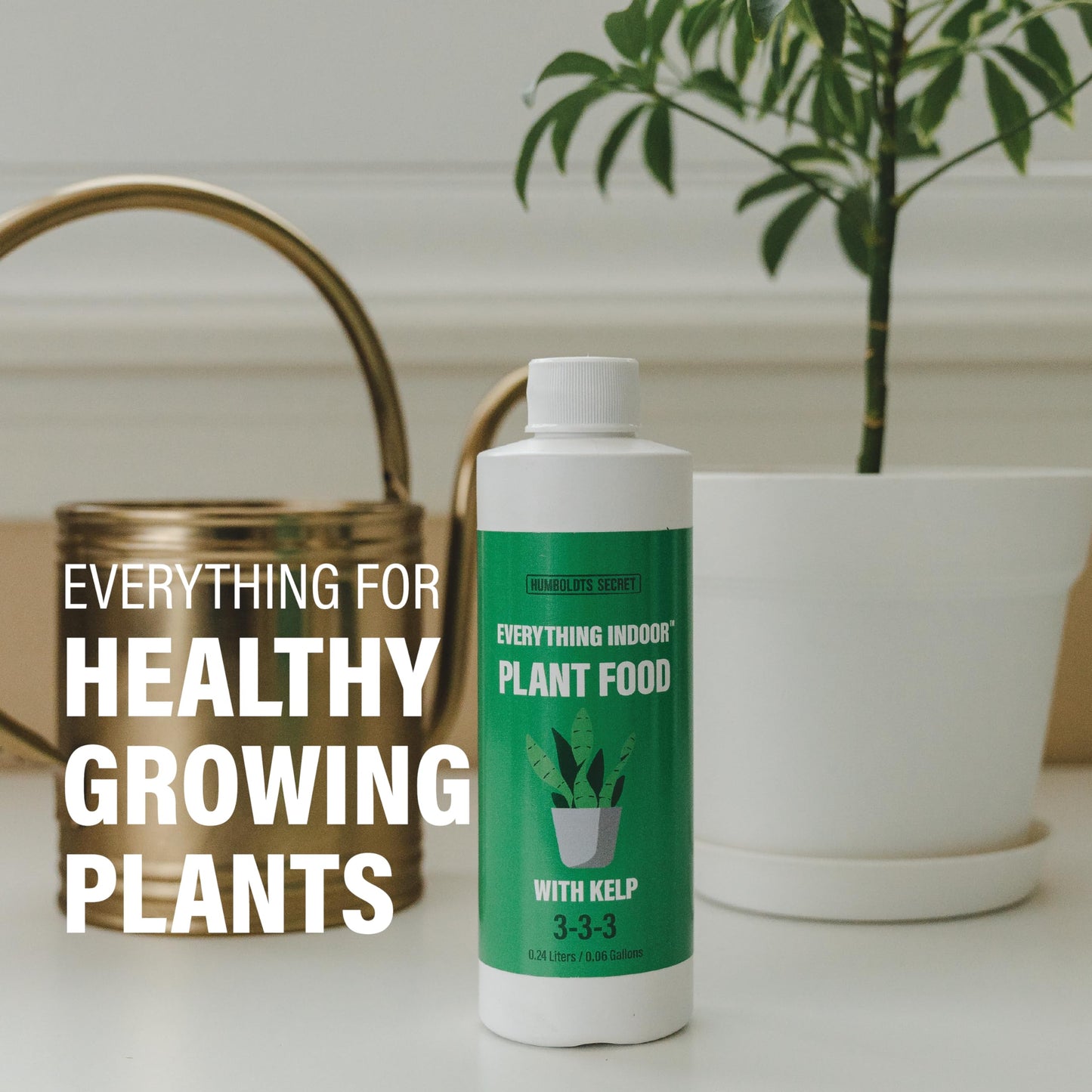 Humboldts Secret Everything Indoor Plant Food with Kelp | Liquid Concentrate Indoor Plant Fertilizer 3-3-3 All Purpose Plant Food for House Plants (8 Ounce)