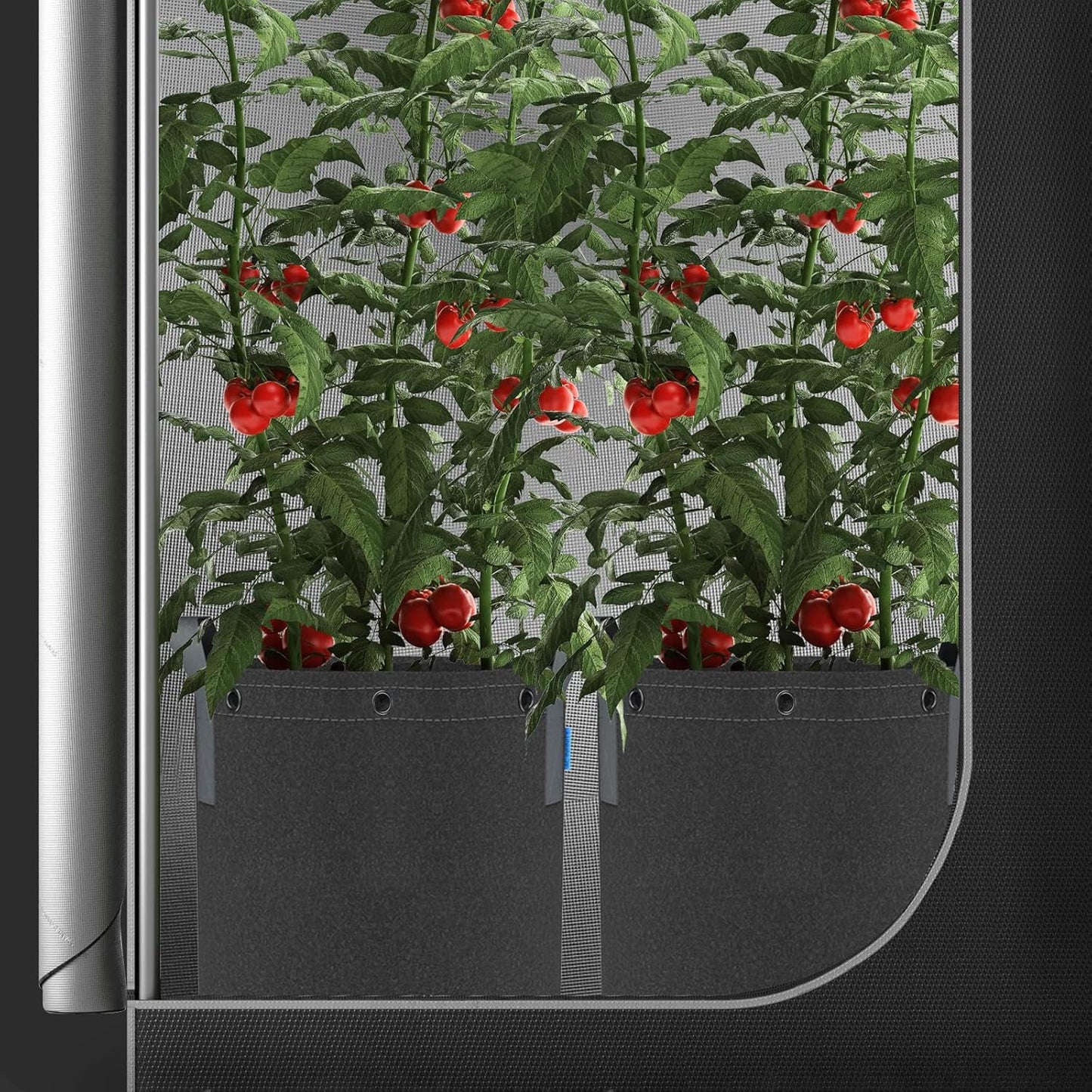 AC Infinity Heavy Duty Fabric Pots, 5 Gallon Aeration Reusable Grow Bags 5-Pack with 500G Thick Nonwoven Fabric and Multi-Purpose Rings, for Low Stress Plant Training Fruits, Vegetables, and Flowers