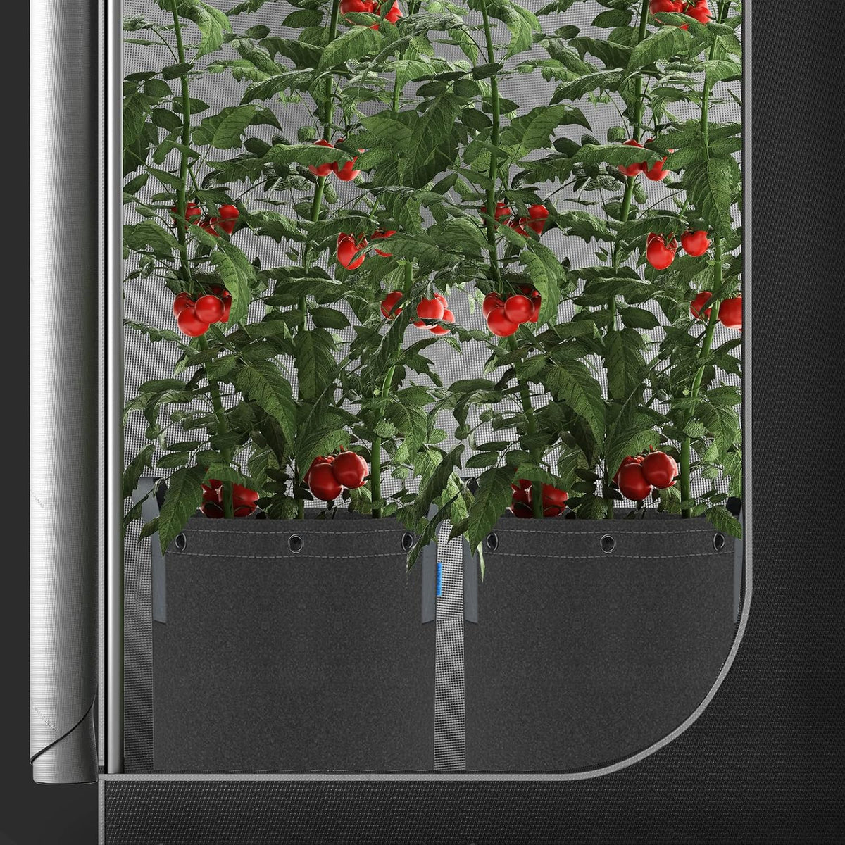 AC Infinity Fabric Grow Pots, Multiple Capacities