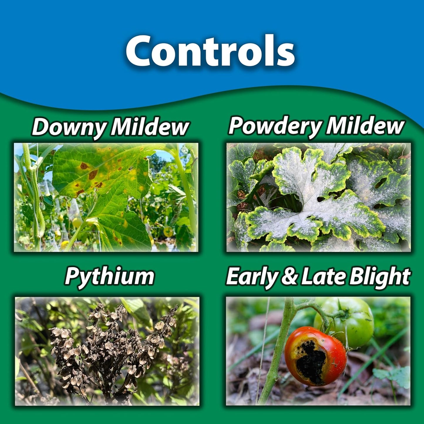 Monterey - Complete Disease Control - Fungicide & Bactericide for Control of Garden & Lawn Diseases, OMRI Listed for Organic Gardening - 1 Pint