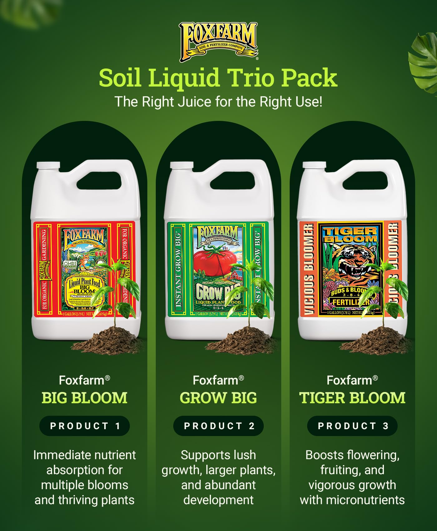 FoxFarm Fertilizer Soil Trio Liquid Nutrient: Tiger Bloom, Grow Big, Big Bloom Gallon Bottles - (Pack of 3-1 Gallon)