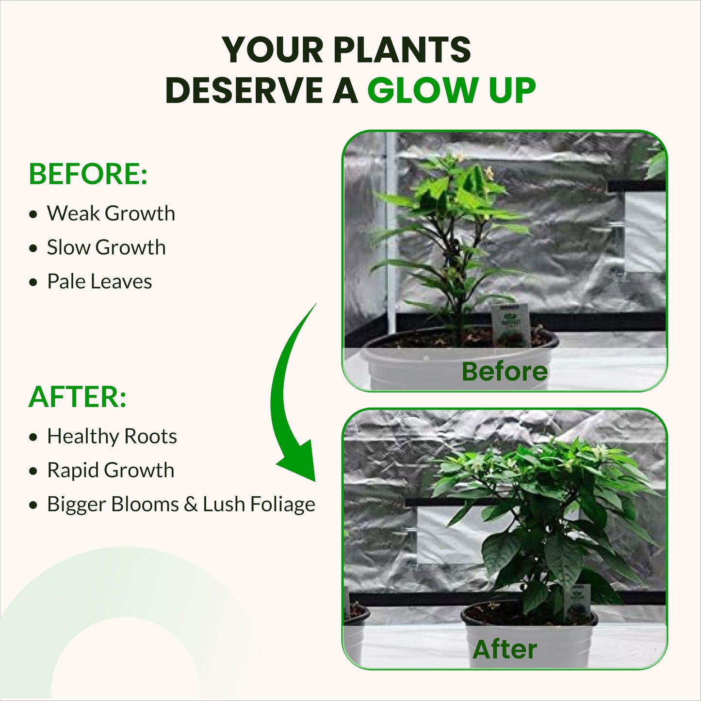 Humboldts Secret Starter Kit Pack | Indoor and Outdoor Plant Fertilizer and Hydroponic Nutrients | Base A & B, CalMag and Iron, Golden Tree, Flower Stacker, Plant Enzymes | Complete Garden System