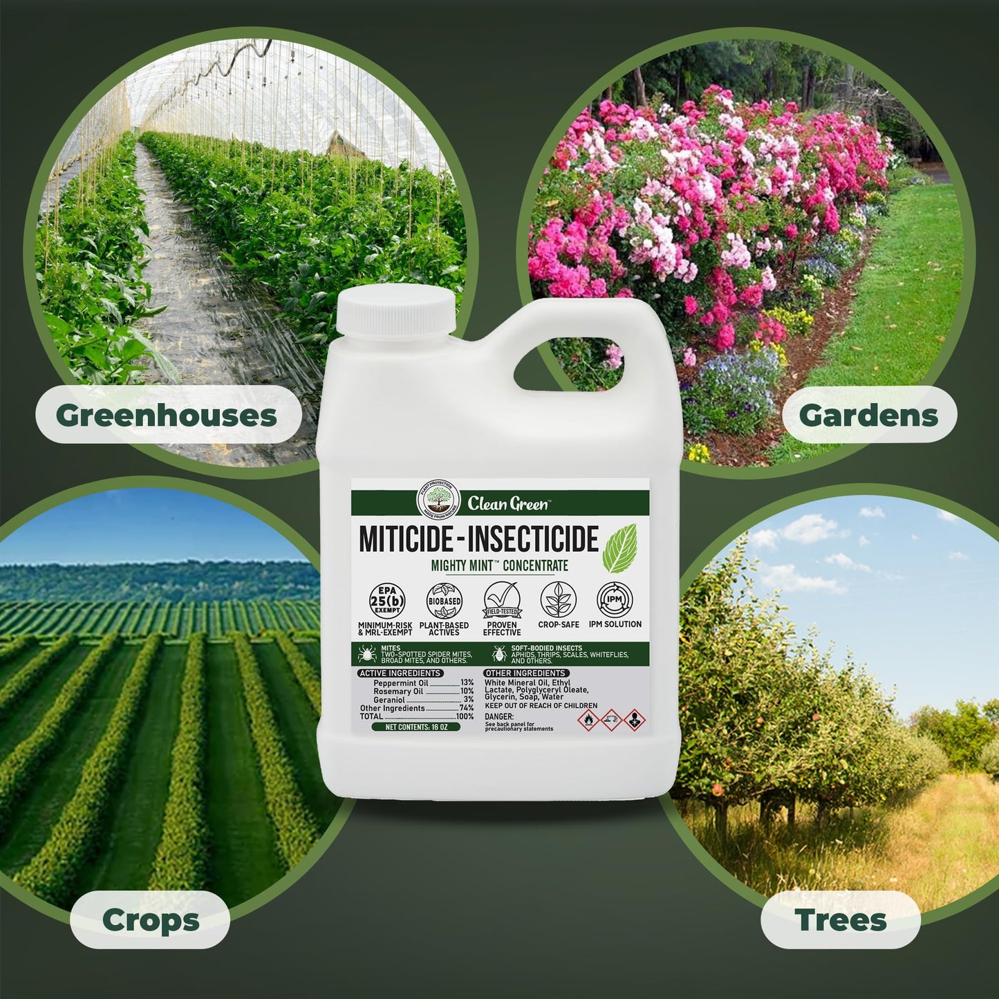 Miticide Insecticide – Botanical Concentrate for Spider Mites, Aphids, Disease, and Insects - OMRI Listed for Organic Use (128 oz)