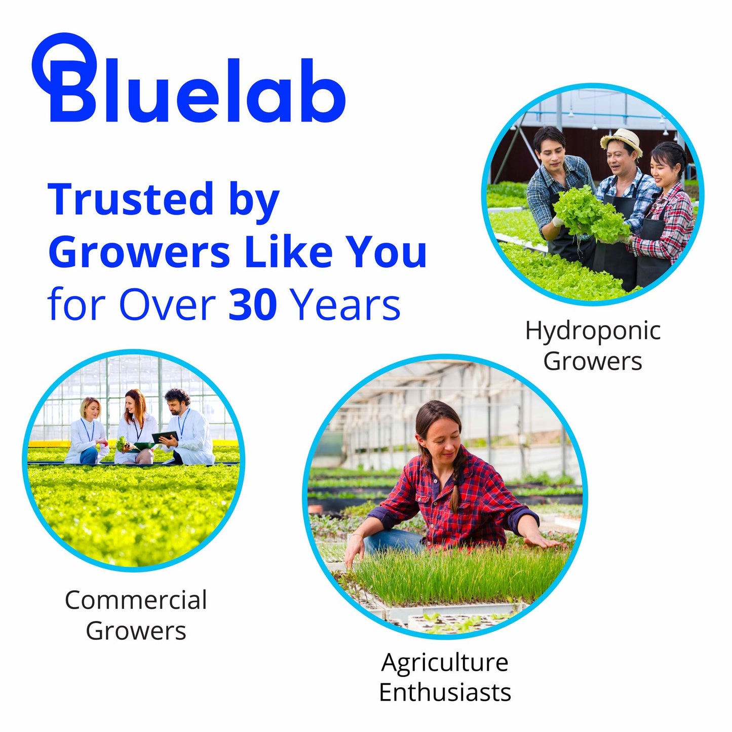 BlueLab 2.77EC Conductivity Solution, 250 milliliters