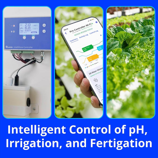 Bluelab IntelliDose Controller Kit Automated 24/7 Reservoir pH, EC, Temp Control with Wi-Fi, Multi-Nutrient Dosing, Replaceable Probes, Edenic Integration Advanced Hydroponic System Management