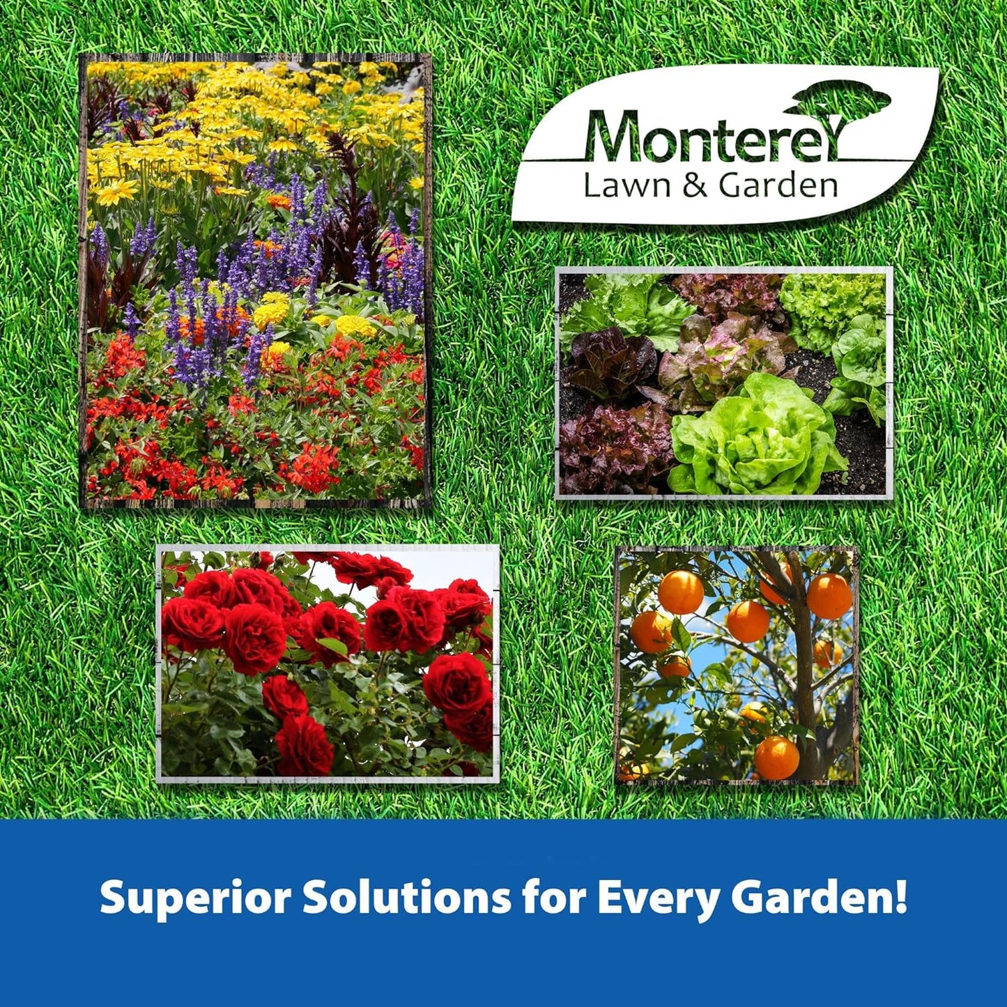 Monterey - Complete Disease Control - Fungicide & Bactericide for Control of Garden & Lawn Diseases, OMRI Listed for Organic Gardening - 1 Pint