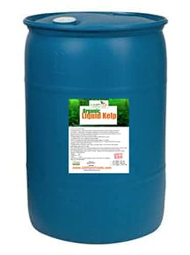 Organic Kelp Fertilizer by GS Plant Foods - OMRI Listed(1 Gallon) - Liquid Kelp Concentrate for Gardens, Lawns & Soil Yields 800+ gallons