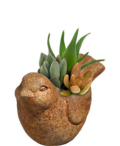 Classic Home and Garden Cement Buddies Animal Planter - Cute Desk Decoration - UV Coated Animal Vase w/Removable Drain Plug - Succulent Planter for Indoor/Outdoor Use (Bird Planter, Rust, Large)
