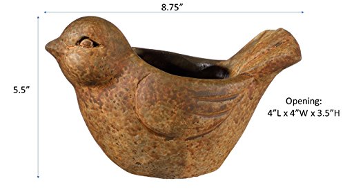 Classic Home and Garden Cement Buddies Animal Planter - Cute Desk Decoration - UV Coated Animal Vase w/Removable Drain Plug - Succulent Planter for Indoor/Outdoor Use (Bird Planter, Rust, Large)