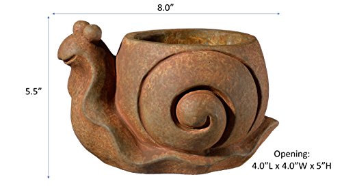 Classic Home and Garden Cement Buddies Animal Planter - Cute Desk Decoration - UV Coated Animal Vase w/Removable Drain Plug - Succulent Planter for Indoor/Outdoor Use (Bird Planter, Rust, Large)