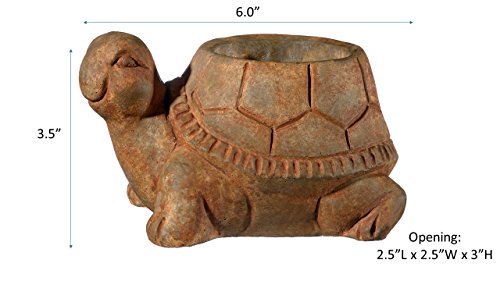 Classic Home and Garden Cement Buddies Animal Planter - Cute Desk Decoration - UV Coated Animal Vase w/Removable Drain Plug - Succulent Planter for Indoor/Outdoor Use (Bird Planter, Rust, Large)