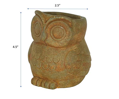 Classic Home and Garden Cement Buddies Animal Planter - Cute Desk Decoration - UV Coated Animal Vase w/Removable Drain Plug - Succulent Planter for Indoor/Outdoor Use (Bird Planter, Rust, Large)