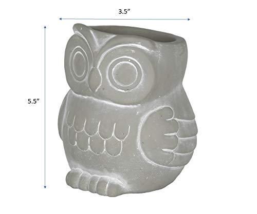 Classic Home and Garden Cement Buddies Animal Planter - Cute Desk Decoration - UV Coated Animal Vase w/Removable Drain Plug - Succulent Planter for Indoor/Outdoor Use (Bird Planter, Rust, Large)