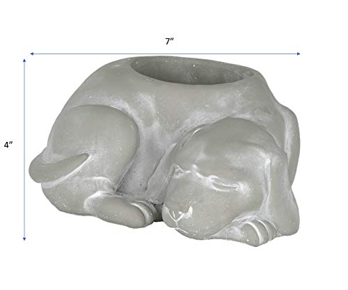 Classic Home and Garden Cement Buddies Animal Planter - Cute Desk Decoration - UV Coated Animal Vase w/Removable Drain Plug - Succulent Planter for Indoor/Outdoor Use (Bird Planter, Rust, Large)