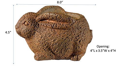 Classic Home and Garden Cement Buddies Animal Planter - Cute Desk Decoration - UV Coated Animal Vase w/Removable Drain Plug - Succulent Planter for Indoor/Outdoor Use (Bird Planter, Rust, Large)