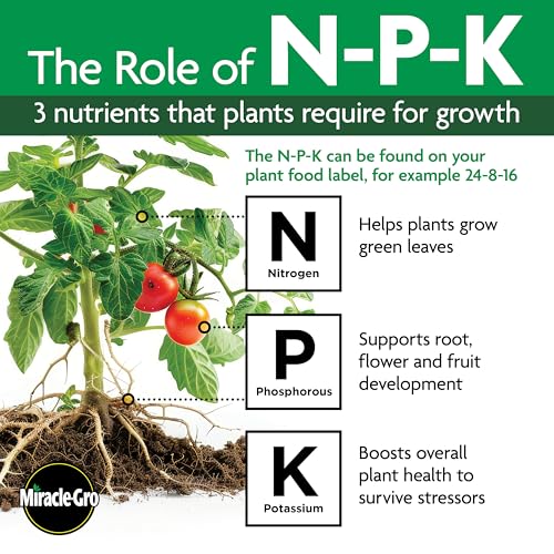 Miracle-Gro Succulent Plant Food, 8 oz., For Succulents including Cacti, Jade, And Aloe