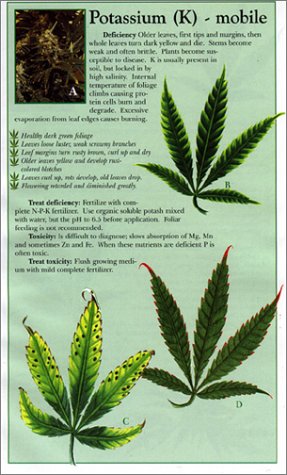 Indoor Marijuana Horticulture: The Indoor Bible