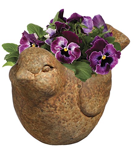 Classic Home and Garden Cement Buddies Animal Planter - Cute Desk Decoration - UV Coated Animal Vase w/Removable Drain Plug - Succulent Planter for Indoor/Outdoor Use (Bird Planter, Rust, Large)