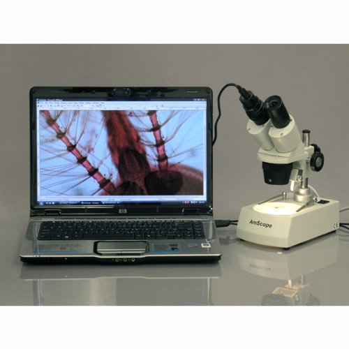 AmScope SE306R-PZ Forward Binocular Stereo Microscope, WF10x and WF20x Eyepieces, 10X-80X Magnification, 2X and 4X Objectives, Upper and Lower Halogen Light Source, Pillar Stand, 120V , White