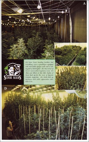 Indoor Marijuana Horticulture: The Indoor Bible