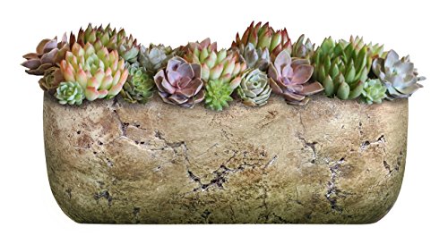 Classic Home and Garden Dakota Rectangular Planter Box w/Drain Plug - Small Succulent Pots for Window Sills & More - Shallow Trough Planter for Indoor Outdoor Use (8” Earth Moss Gray)