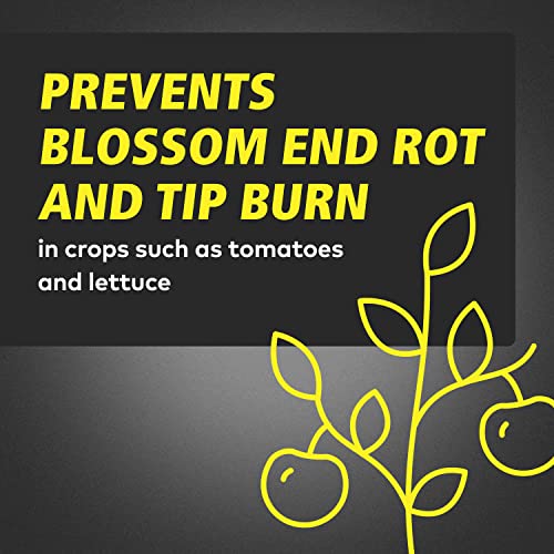 General Hydroponics CALiMAGic 1-0-0, Concentrated Blend Of Calcium & Magnesium, Secondary Nutrient Deficiencies Helps Prevent Blossom End Rot & Tip Burn, Clean, Soluble, 1-Gallon
