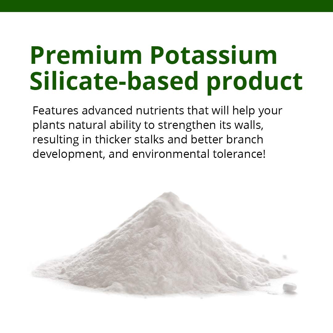 Humboldts Secret Tree Trunk - Silicate Additive - Indoor Plant Food - Liquid Fertilizer (1 Gal) w/Grow Room Glasses | Interchangeable Magnetic Sunglasses with UVA/UVB Blocking Protection