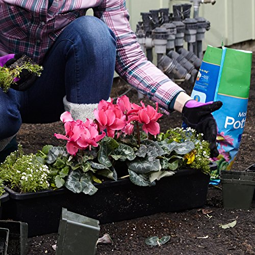 Miracle-Gro Moisture Control Potting Mix, For Container Plants, Protects against Over- and Under-Watering, 8 qt., 2-Pack