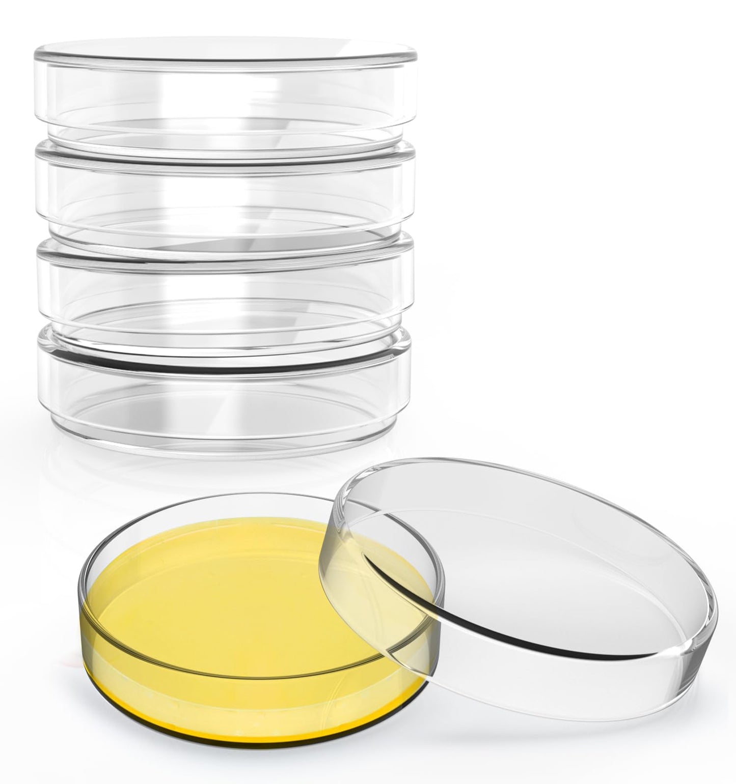 FOUR E'S SCIENTIFIC 60mm Glass Petri Dishes with Lids, High Borosilicate Glass Culture Dishes for Laboratory, Science Project, School, Pack of 5