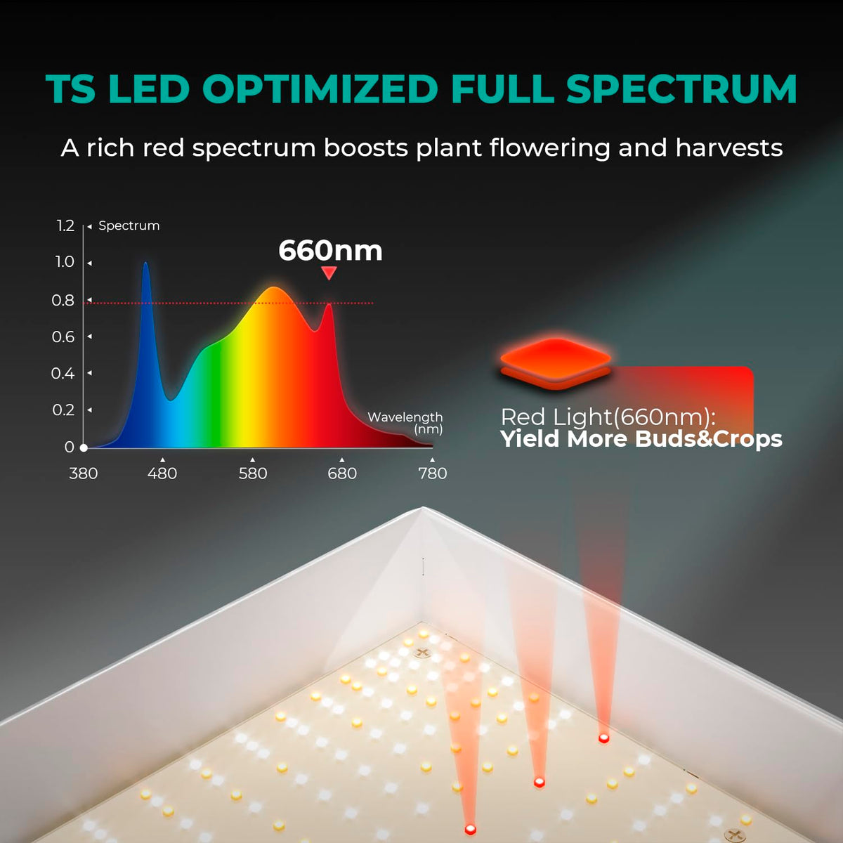 MARS HYDRO LED Grow Lights, Multiple Panel Sizes