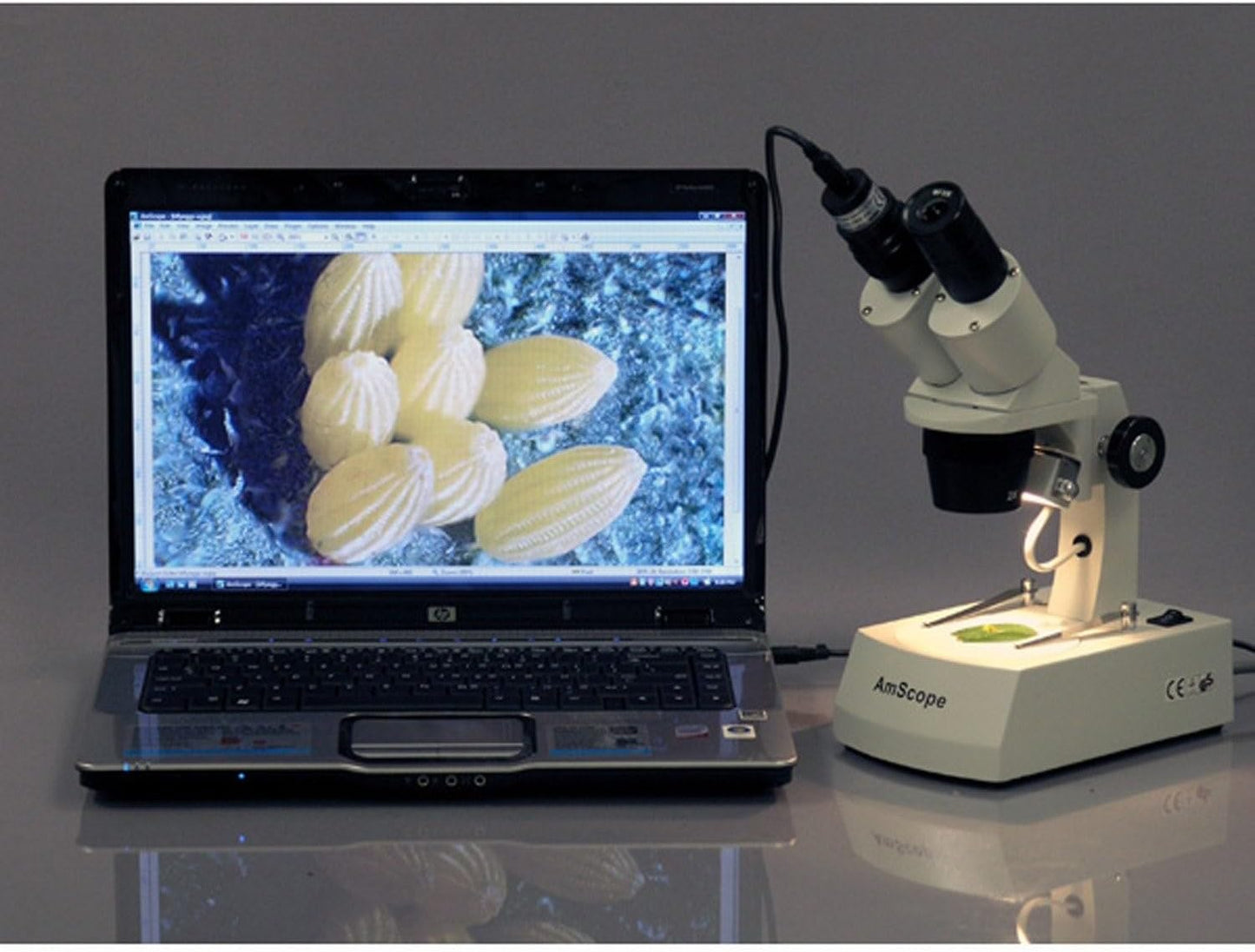 AmScope 5.0 MP USB Still & Live Video Microscope Imager Digital Camera + Calibration Kit