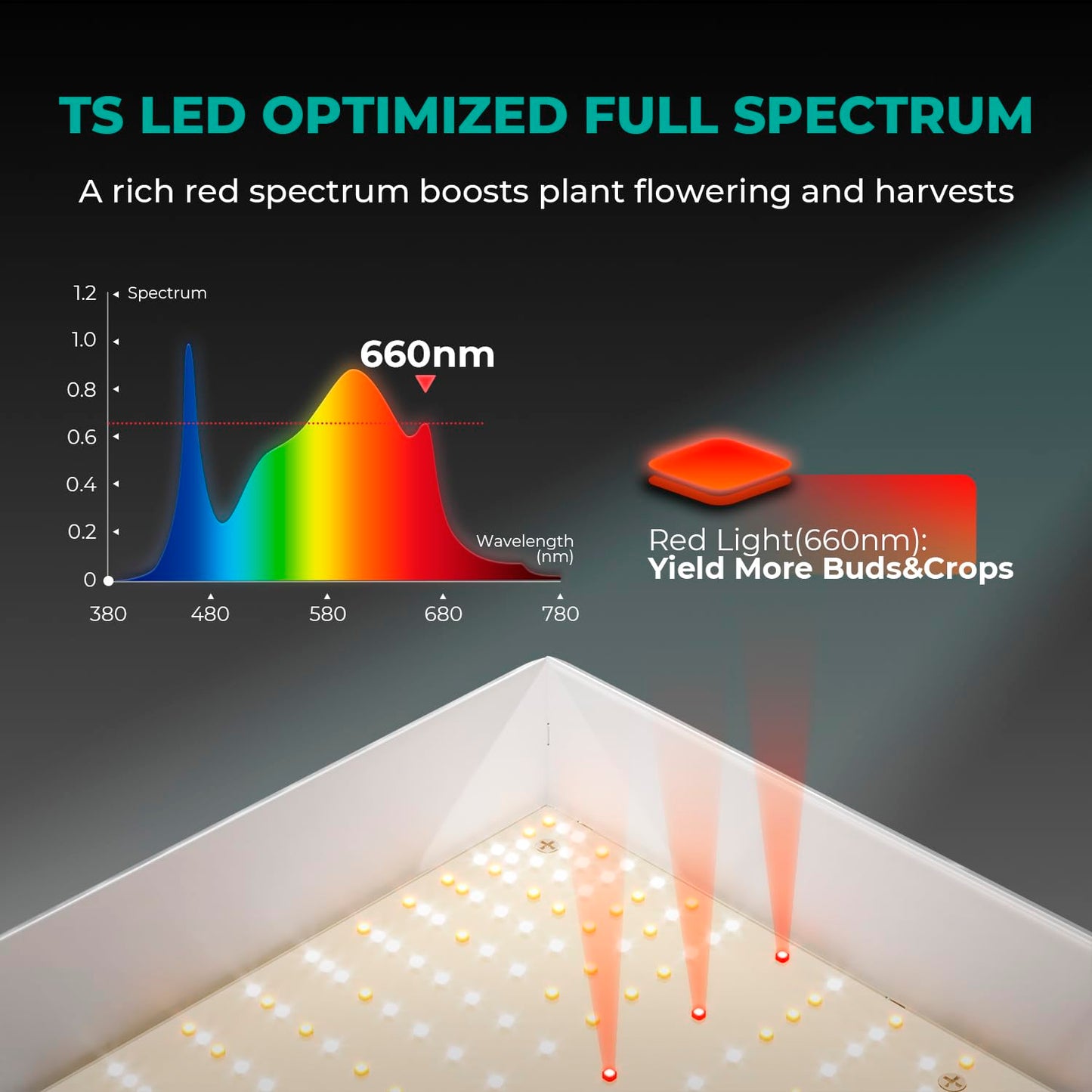 MARS HYDRO TS1000 150W LED Grow Light for Indoor Plants, with Patented Reflector, 5 Levels Dimmable Lights Daisy Chain Full Spectrum Growing Lamps for Seedlings Veg Bloom in 2x2/3x3 Grow Tent