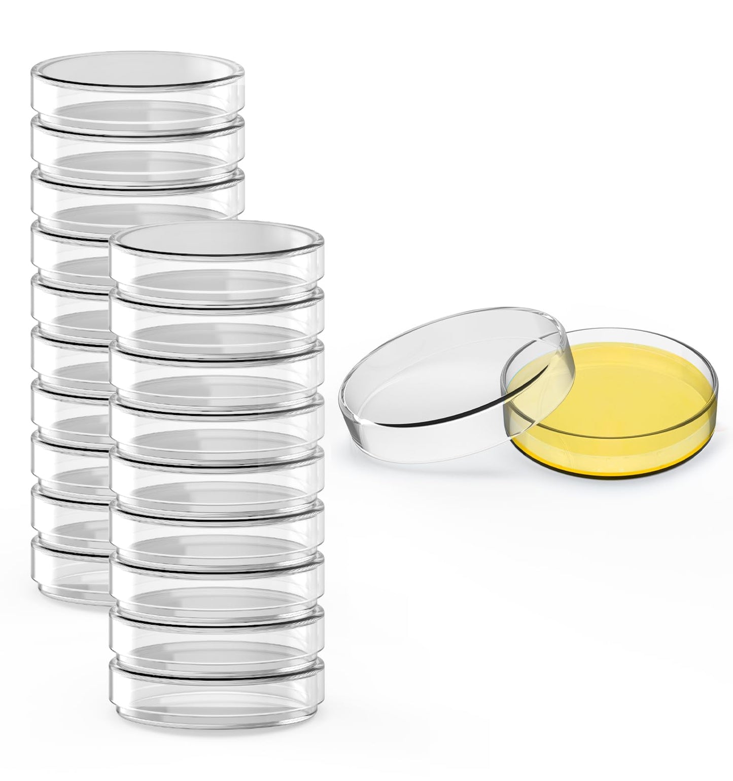 FOUR E'S SCIENTIFIC 60mm Glass Petri Dishes with Lids, High Borosilicate Glass Culture Dishes for Laboratory, Science Project, School, Pack of 5