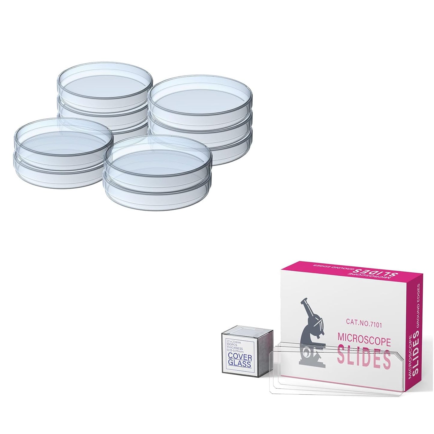 10 Pcs Petri Dishes with 150 Pcs Blank Microscope Slides