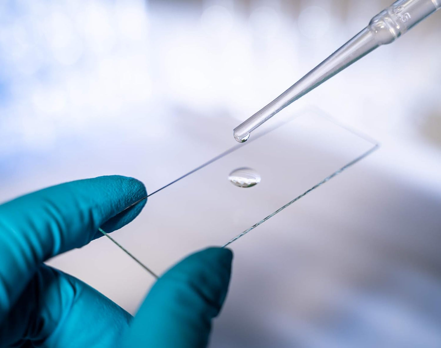 AmScope 72 Pre-Cleaned Blank Microscope Slides and 100 22x22mm Square Cover Glass