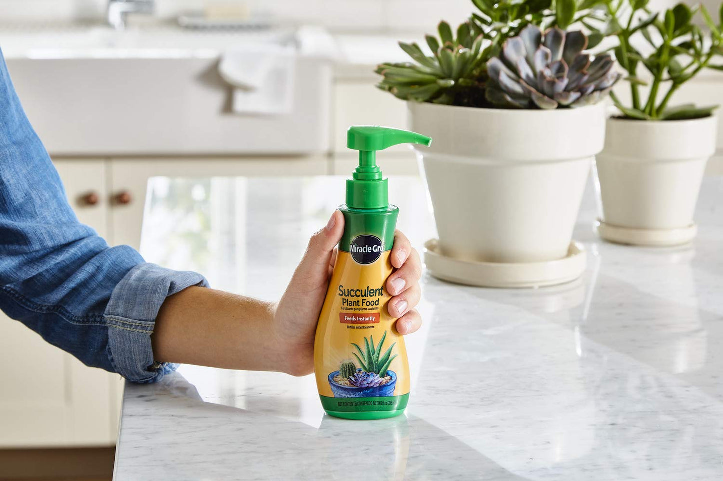 Miracle-Gro Succulent Plant Food, 8 oz., For Succulents including Cacti, Jade, And Aloe