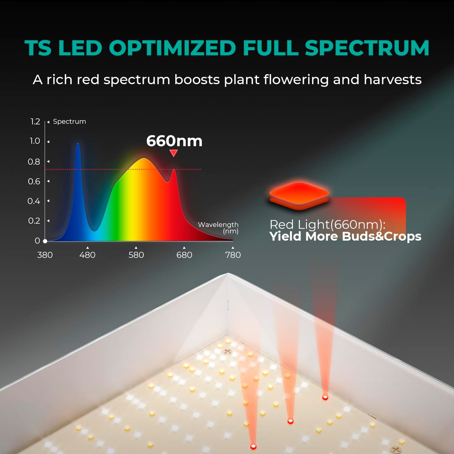 MARS HYDRO TS1000 150W LED Grow Light for Indoor Plants, with Patented Reflector, 5 Levels Dimmable Lights Daisy Chain Full Spectrum Growing Lamps for Seedlings Veg Bloom in 2x2/3x3 Grow Tent