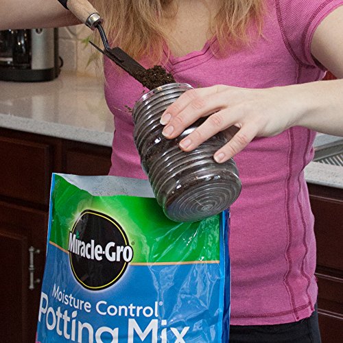 Miracle-Gro Moisture Control Potting Mix, For Container Plants, Protects against Over- and Under-Watering, 8 qt., 2-Pack