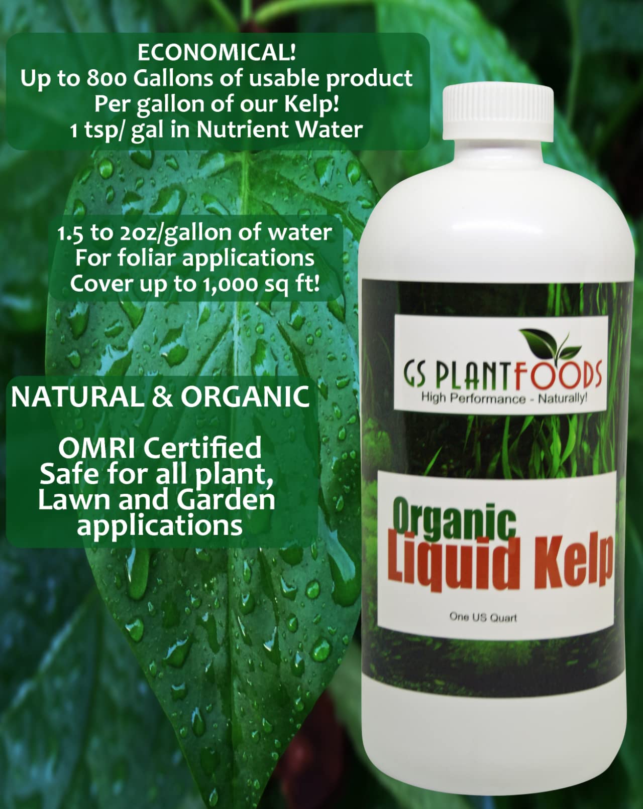 Organic Kelp Fertilizer by GS Plant Foods - OMRI Listed(1 Gallon) - Liquid Kelp Concentrate for Gardens, Lawns & Soil Yields 800+ gallons