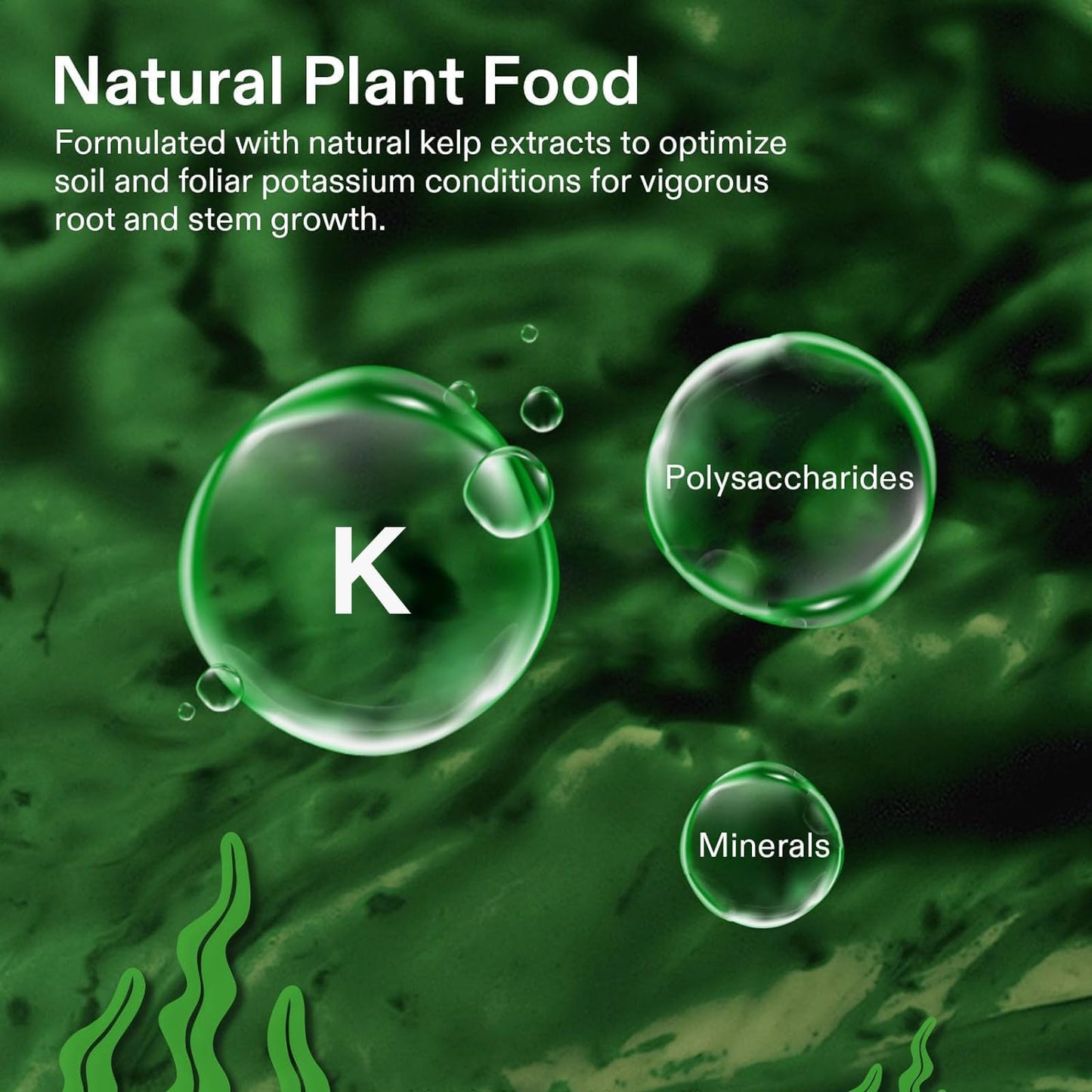 VIVOSUN Seaweed and Kelp Fertilizer, Concentrated Plant Additive NutriBoost (0-0-1), All-Purpose Liquid Food for All Growing Stages, for Trees, Vegetables, Flowers, Fruits, Lawn, 32 Ounces/1 Quart