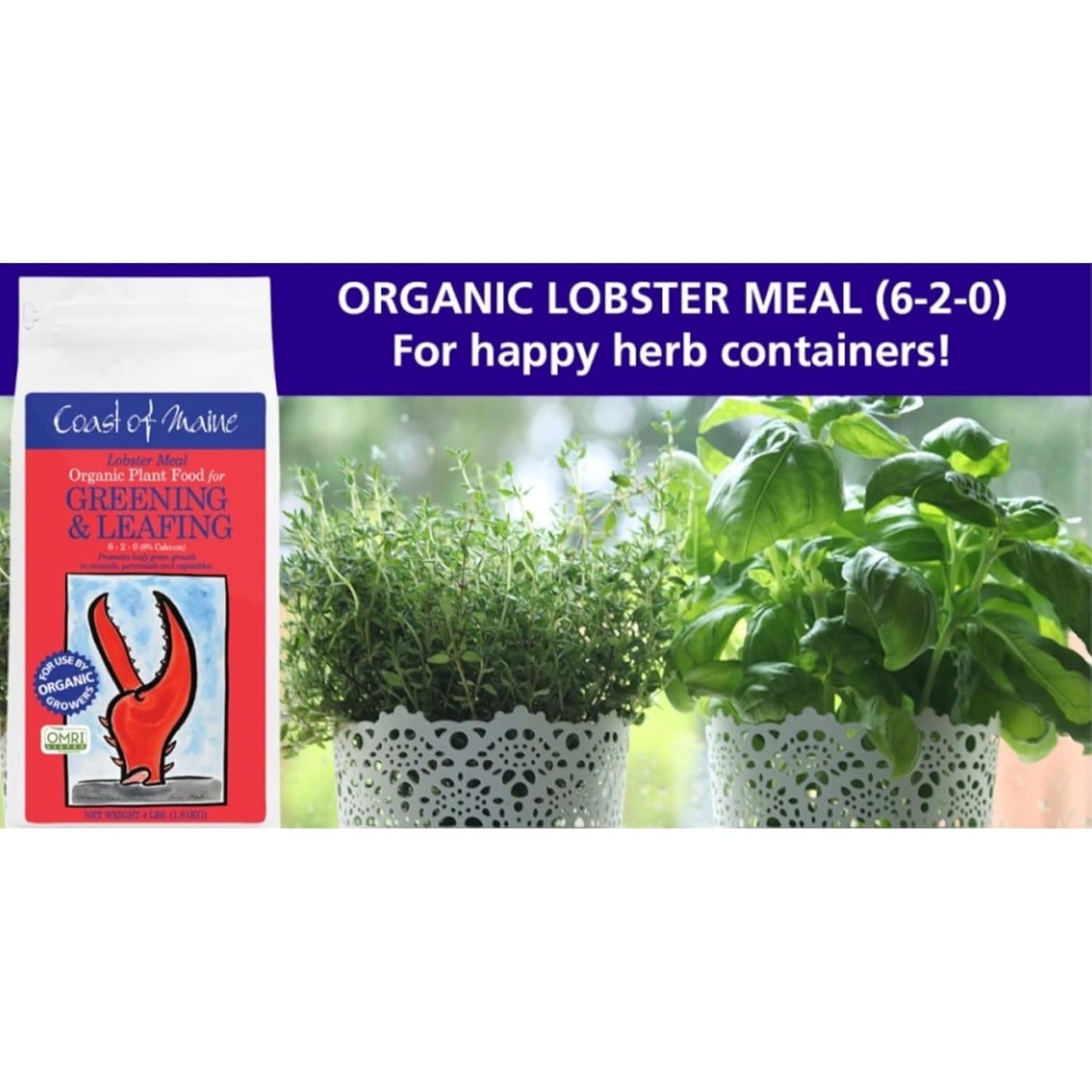 Coast of Maine Lobster Meal (4lb) Organic Plant Food and Calcium, OMRI Listed - for Green Leafy Growth