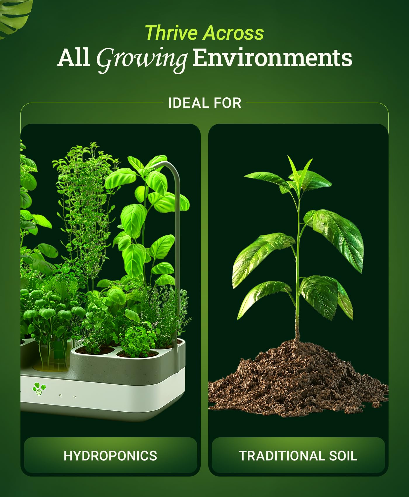 Foxfarm Bushdoctor Bembé Concentrate, Fast-Acting Liquid Plant Fertilizer, Enhances Natural Sugars for Sweetness and Flavor - Easy Absorption for Soil, Containers, and Hydroponics- NPK 0-1-3 (Gallon)