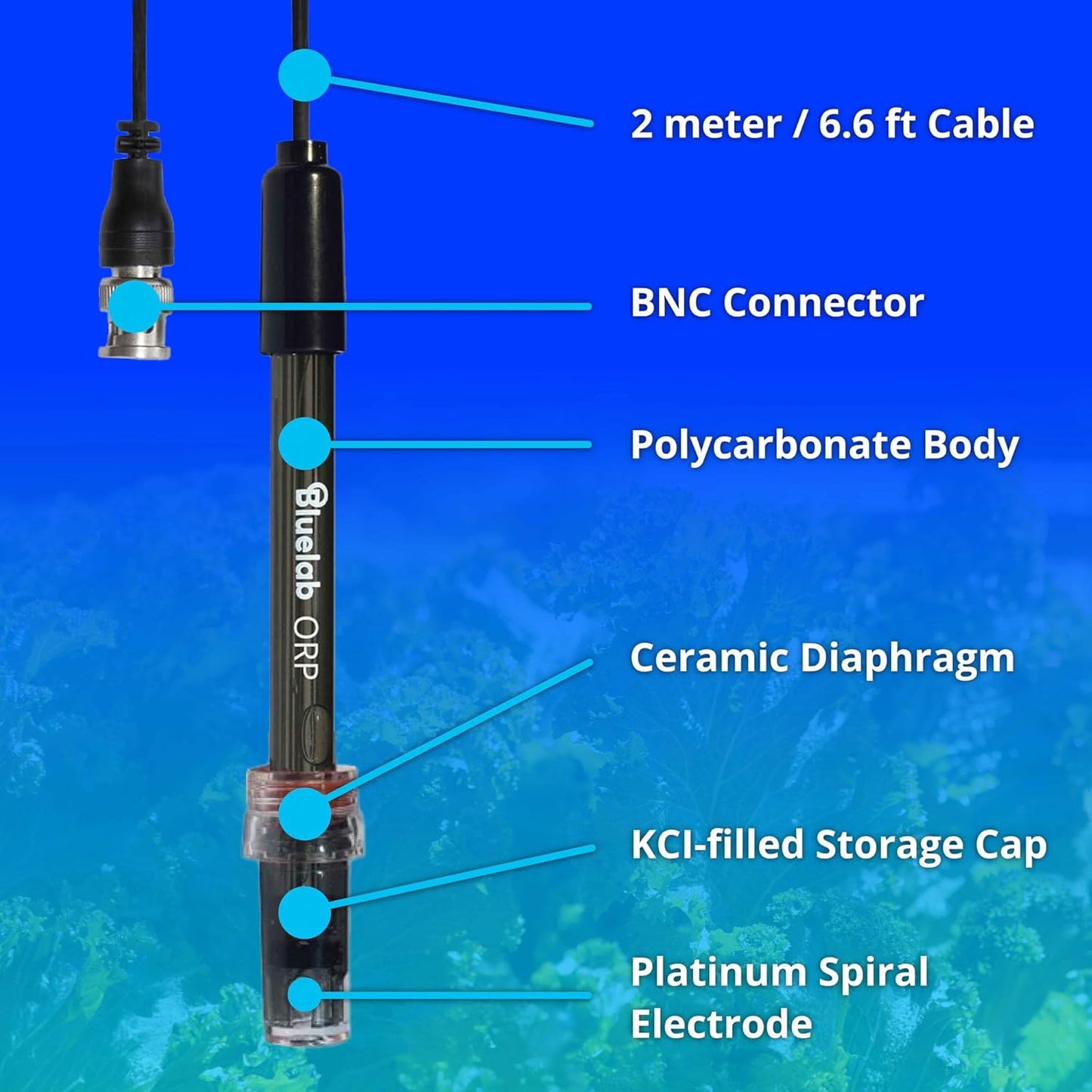 Bluelab ORP Probe – Durable, Platinum Probe with Ceramic Diaphragm & 2m Cable for Chlorine-Based Sanitiser Monitoring