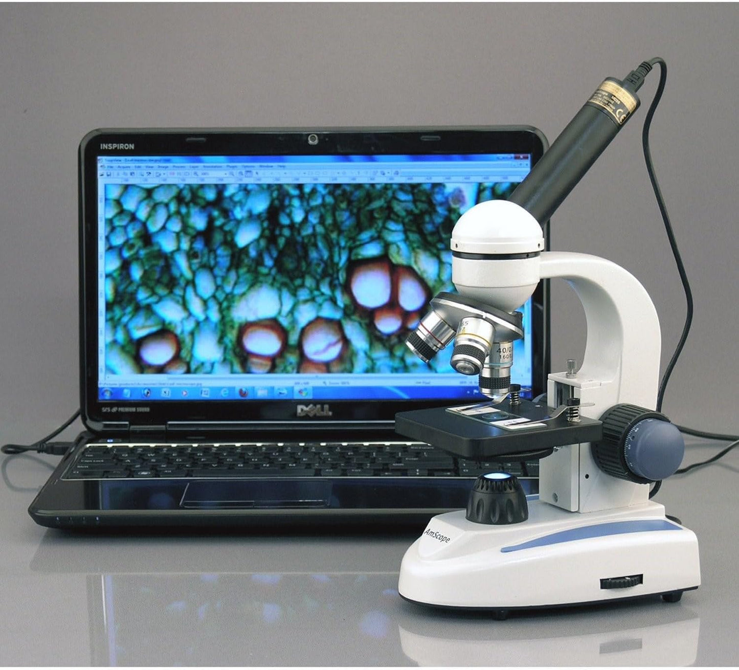 AmScope 5.0 MP USB Still & Live Video Microscope Imager Digital Camera + Calibration Kit