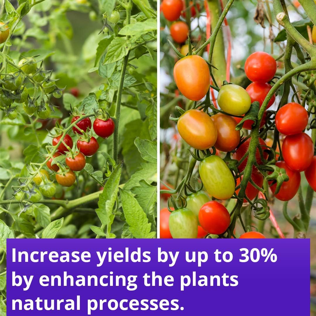 Humboldts Secret Flower Stacker Nutrient System for Potting Soil for Indoor & Outdoor Plants (32 oz) w/Grow Room Glasses | Interchangeable Magnetic Sunglasses with UVA/UVB Blocking Protection